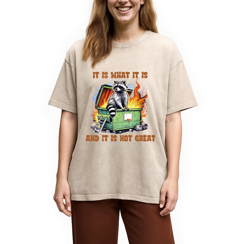 Tokyocanvas It is What Not Great Raccoon Meme Washed T-Shirt