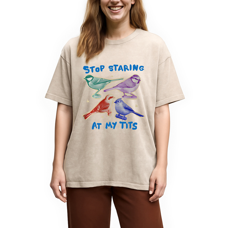 Tokyocanvas Stop Staring At My Tits Washed T-Shirt