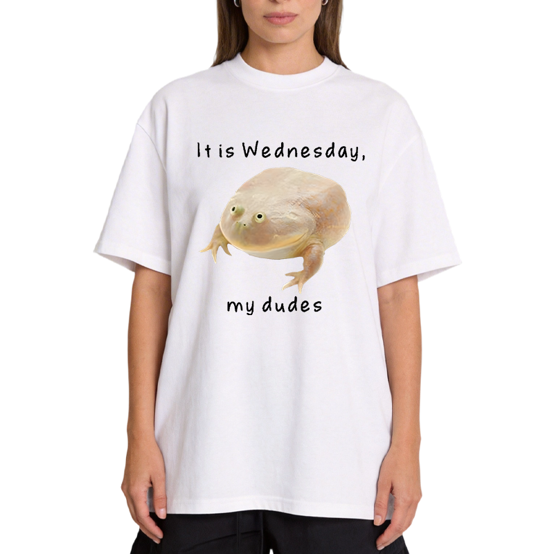 Tokyocanvas It's Wednesday my dudes Classic T-Shirt