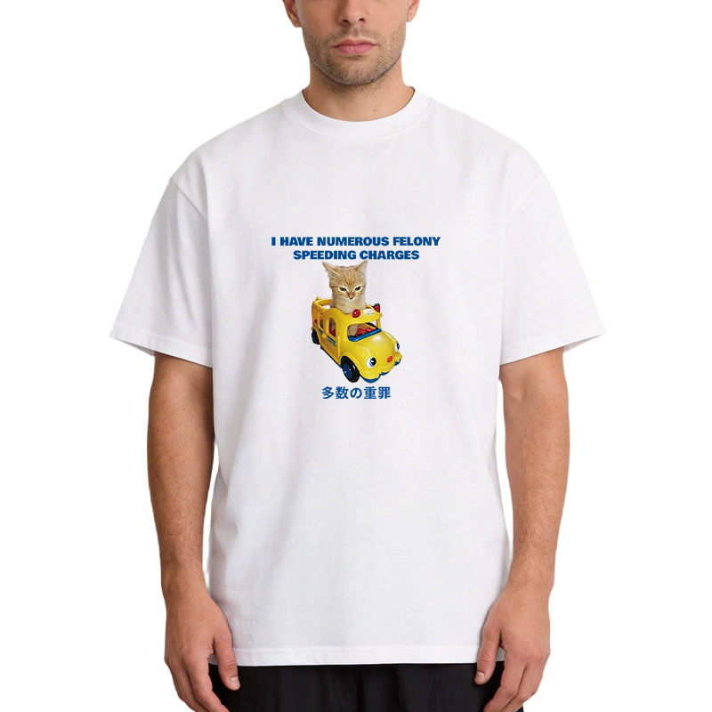 Tokyocanvas I Have Numerous Felonies For Speeding Classic T-Shirt