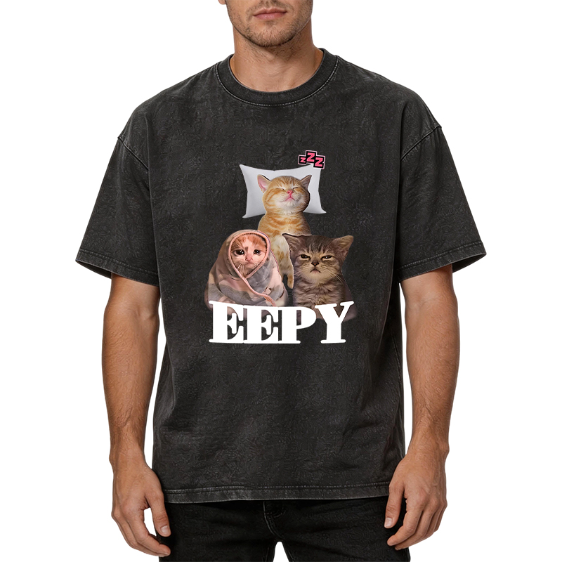 Tokyocanvas Eepy Cat Meme Washed T-Shirt