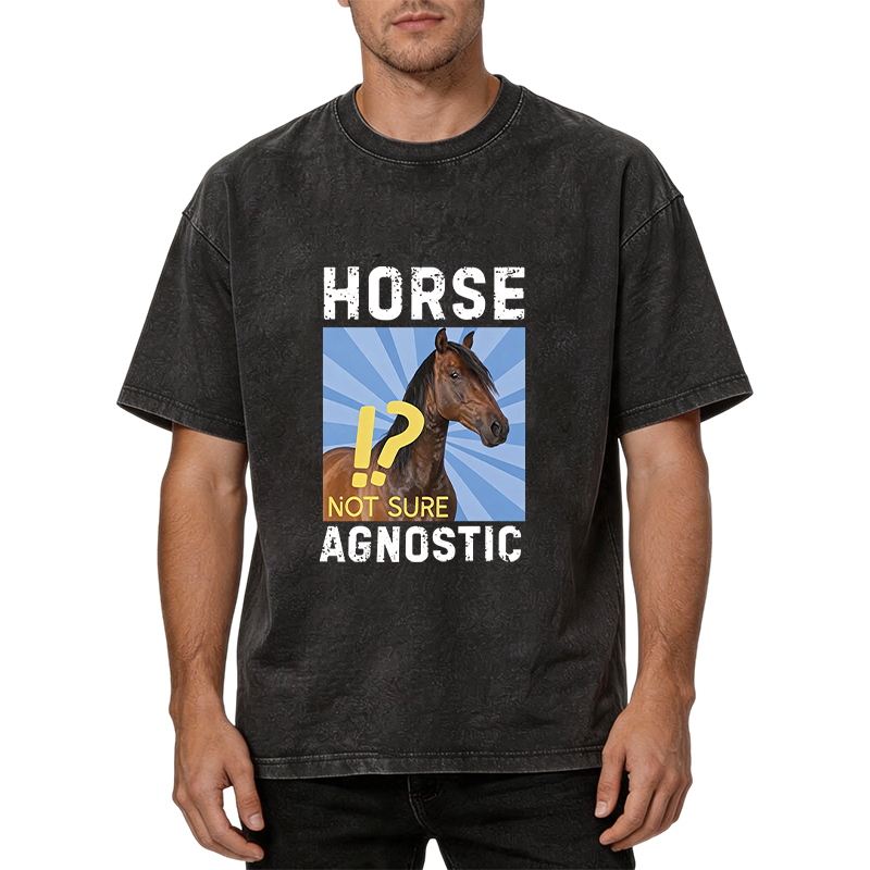 Tokyocanvas Horse Agnostic, Not Sure Essential Washed T-Shirt