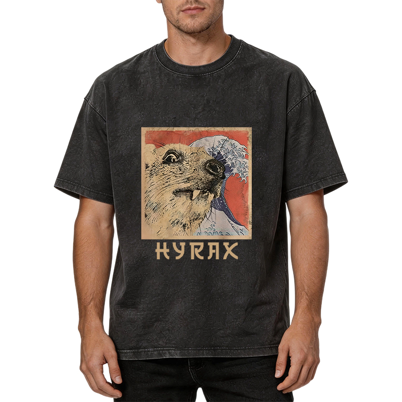 Tokyocanvas Hyrax Japanese Vintage Washed T-Shirt