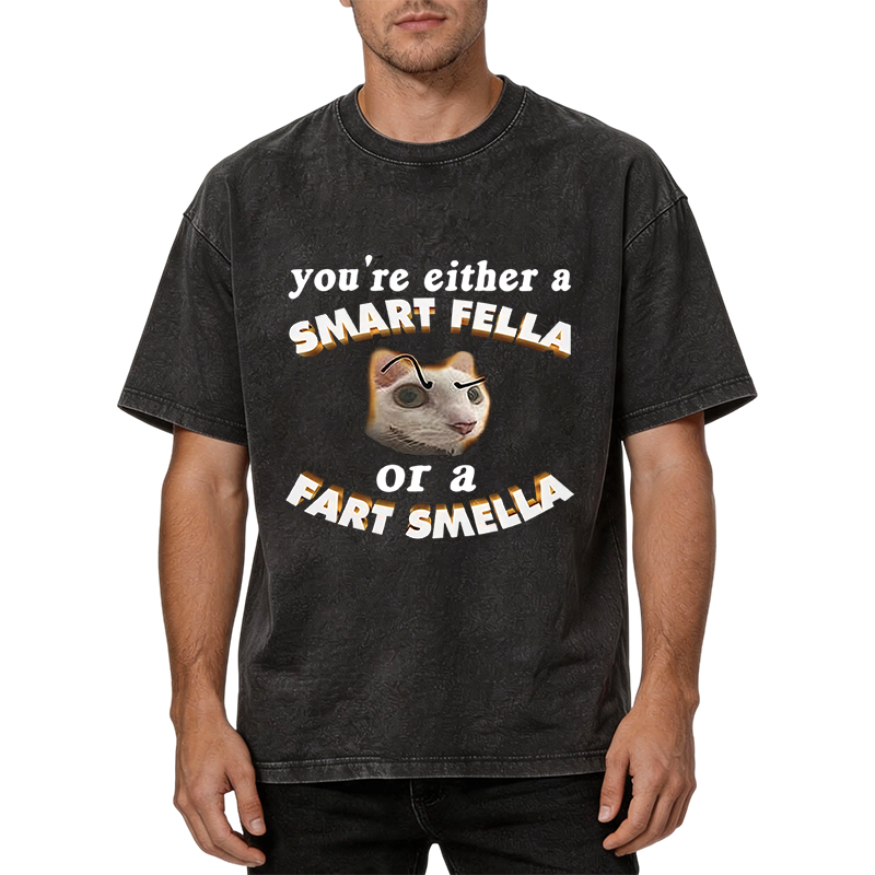 Tokyocanvas You're Either A Smart Fella Or A Fart Smella Funny Cat Washed T-Shirt