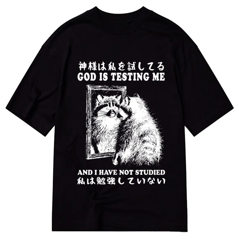 Tokyocanvas Raccoon Not Studied Classic T-Shirt