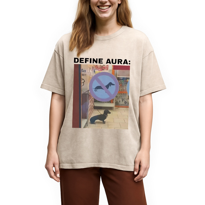 Tokyocanvas Define Aura Funny Washed T-Shirt