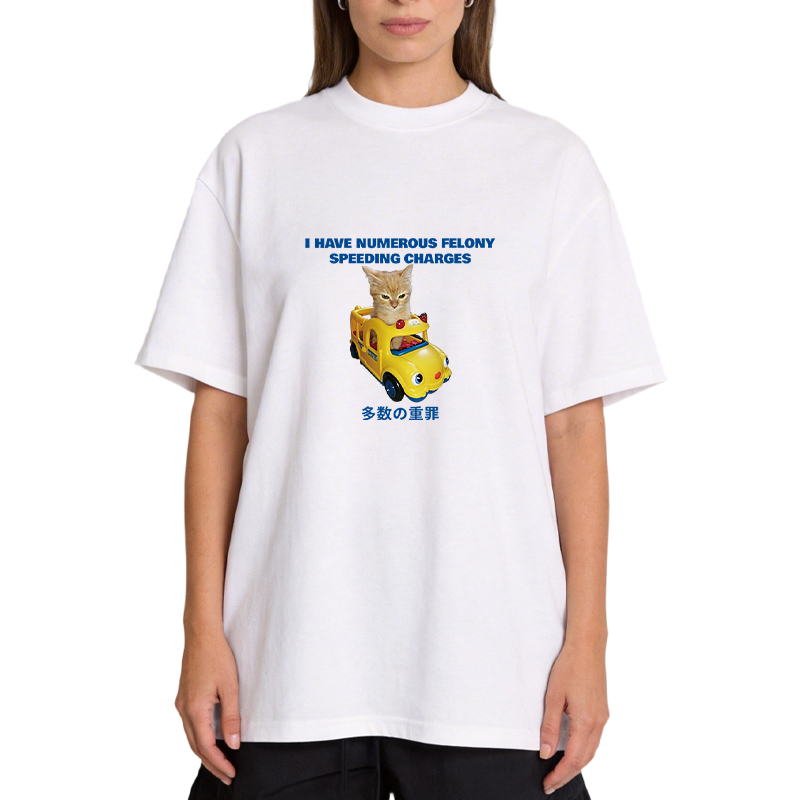 Tokyocanvas I Have Numerous Felonies For Speeding Classic T-Shirt