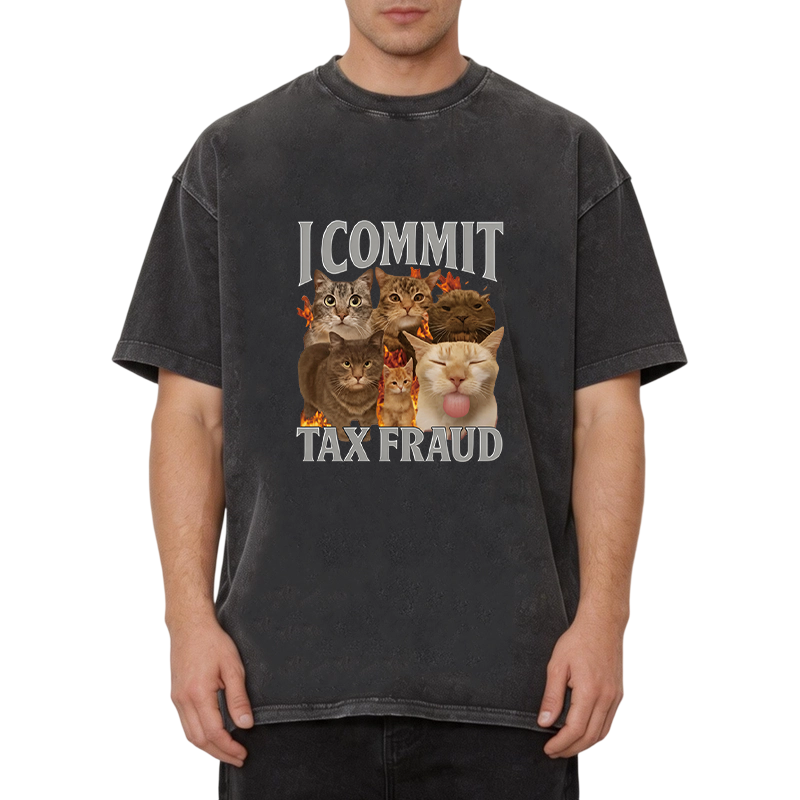 Tokyocanvas I Commit Tax Fraud Washed T-Shirt