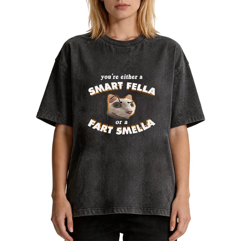 Tokyocanvas You're Either A Smart Fella Or A Fart Smella Funny Cat Washed T-Shirt