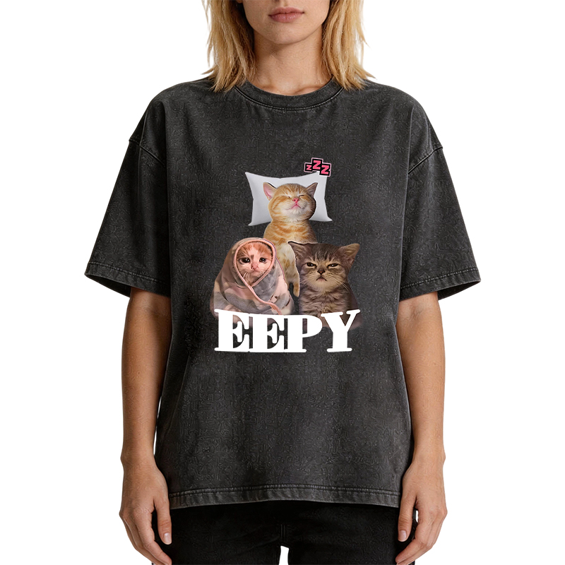 Tokyocanvas Eepy Cat Meme Washed T-Shirt