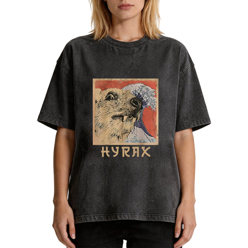 Tokyocanvas Hyrax Japanese Vintage Washed T-Shirt