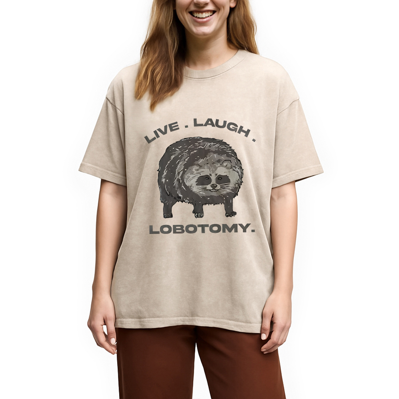 Tokyocanvas Live Laugh Lobotomy Funny Dolphin Meme Washed T-Shirt