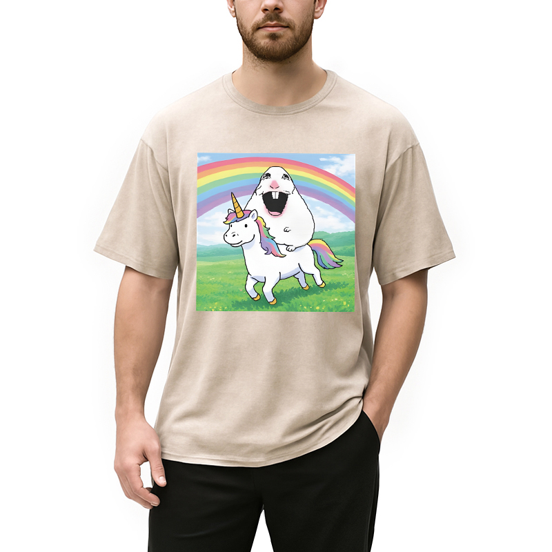 Tokyocanvas Silly Mouse Meme Washed T-Shirt