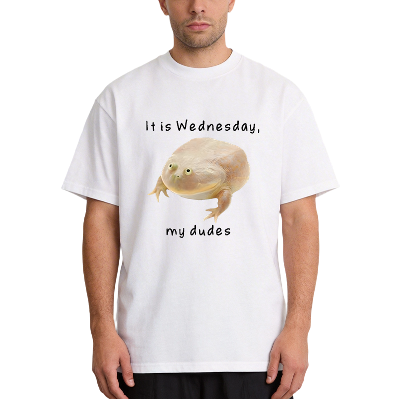 Tokyocanvas It's Wednesday my dudes Classic T-Shirt