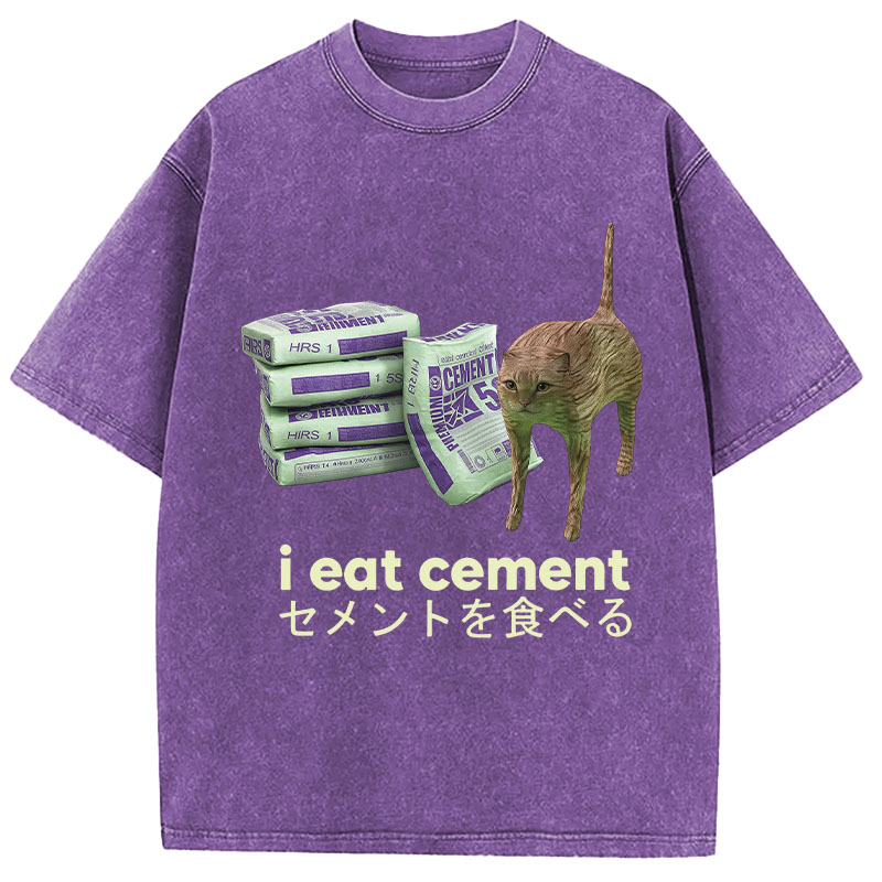 Tokyocanvas Funny Internet Cement Cat Washed T-Shirt