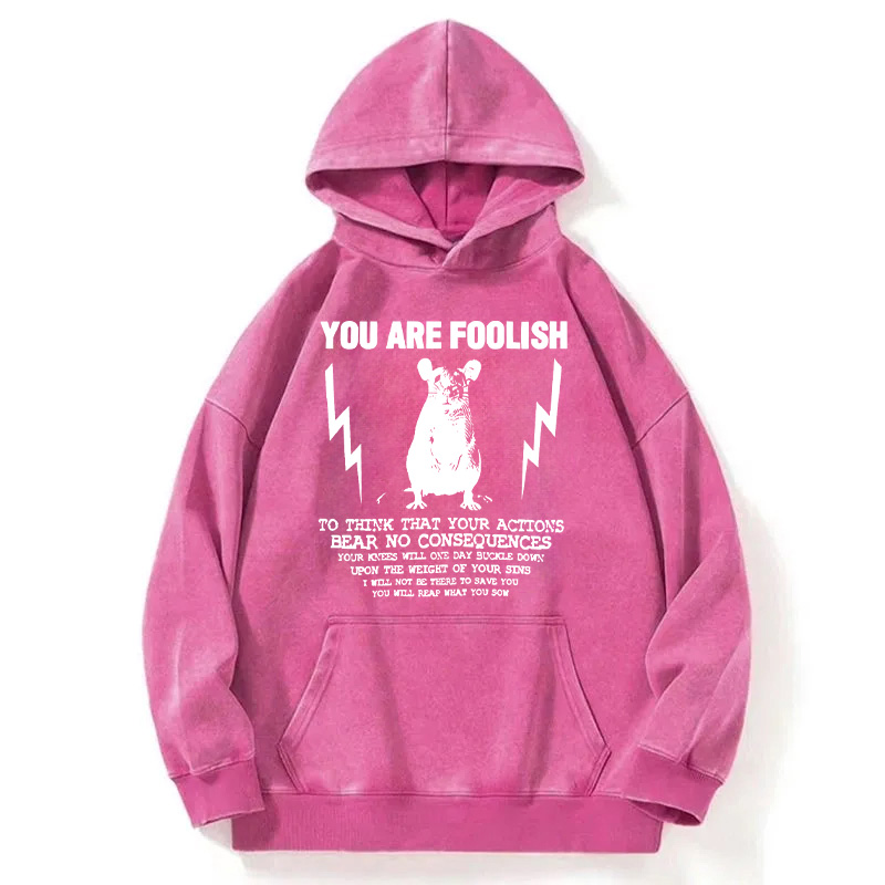 Tokyocanvas You Are Foolish Rat Meme Washed Hoodie