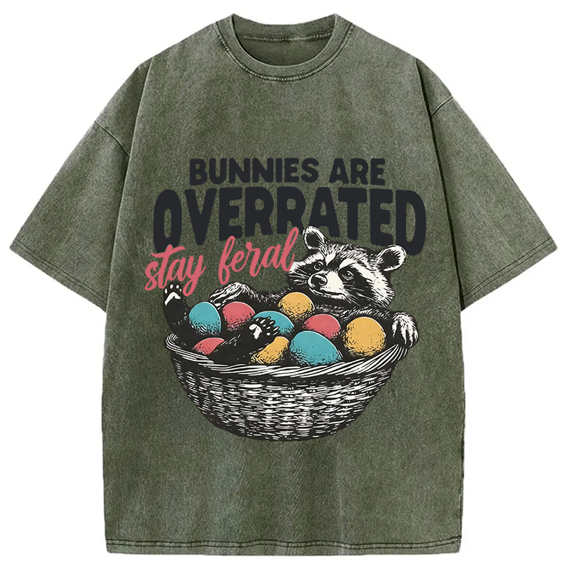 Tokyocanvas Funny Easter Raccoon Washed T-Shirt