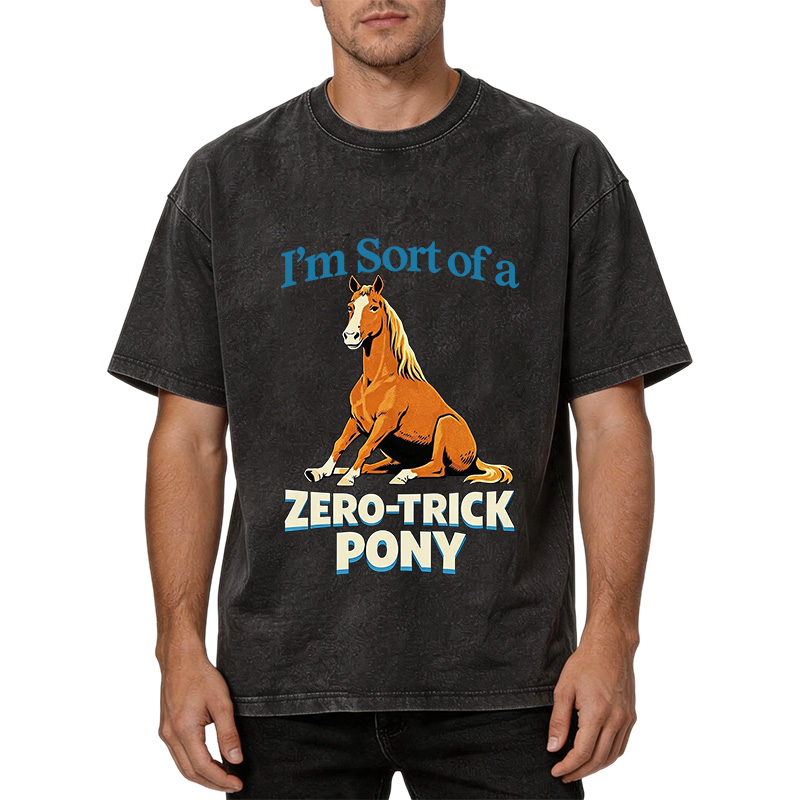 Tokyocanvas Zero Trick Pony Washed T-Shirt