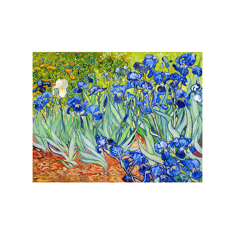 Tokyocanvas Irises By Vincent Print