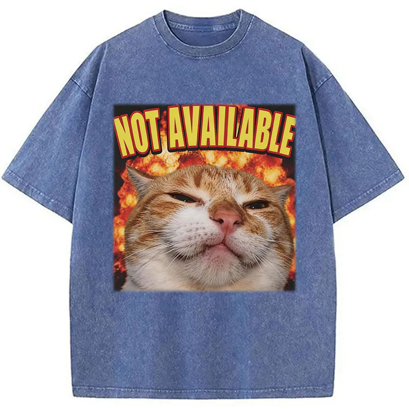 Tokyocanvas Not Available Cat Meme Washed T-Shirt