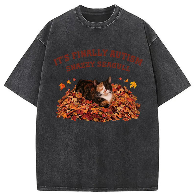 Tokyocanvas Finally Autism Washed T-Shirt