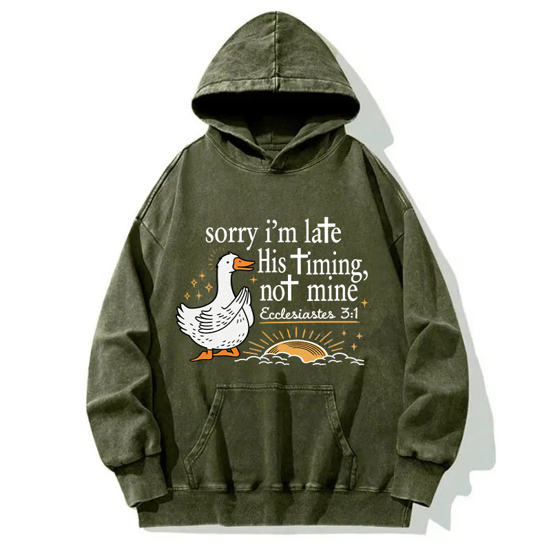 Tokyocanvas His Timing Not Mine Goose Washed Hoodie