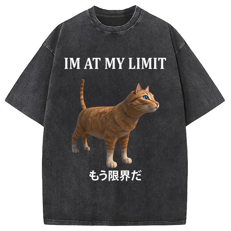 Tokyocanvas Poly Cat At My Limit Washed T-Shirt