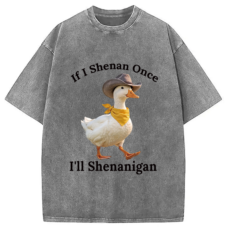 Tokyocanvas If I Shenan Once Funny Goose Washed T-Shirt