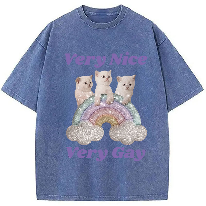 Tokyocanvas Very Nice Very Gay Washed T-Shirt