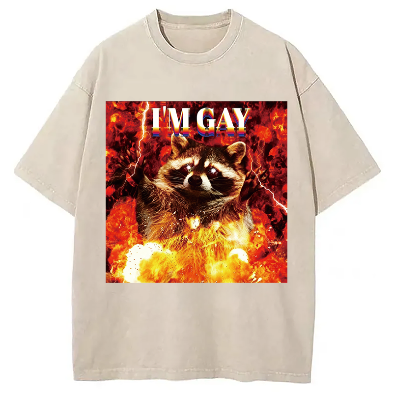 Tokyocanvas I'm Gay Washed T-Shirt