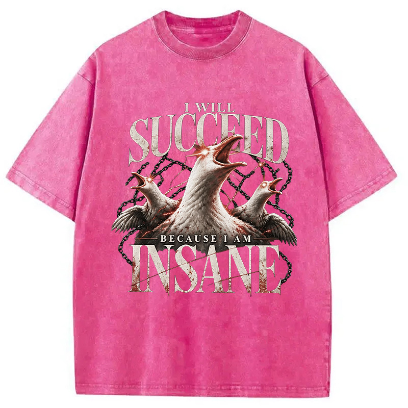 Tokyocanvas I Will Succeed Because I Am Insane Washed T-Shirt
