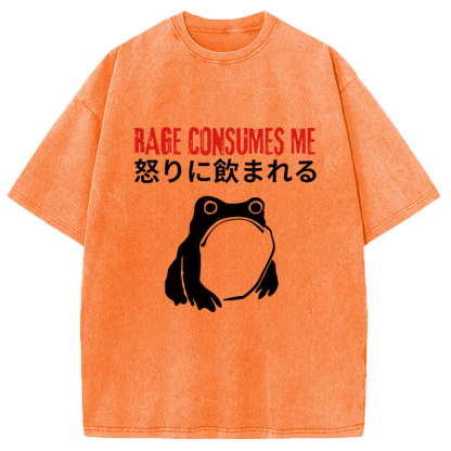 Tokyocanvas Rage Consumes Me Frog Meme Washed T-Shirt