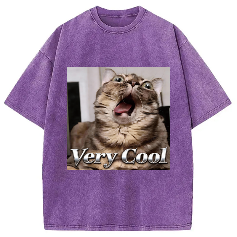 Tokyocanvas Very Cool Funny Cat Meme Washed T-Shirt