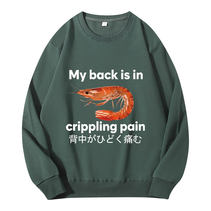 Tokyocanvas My Back Is in Crippling Pain Classic Sweatshirt