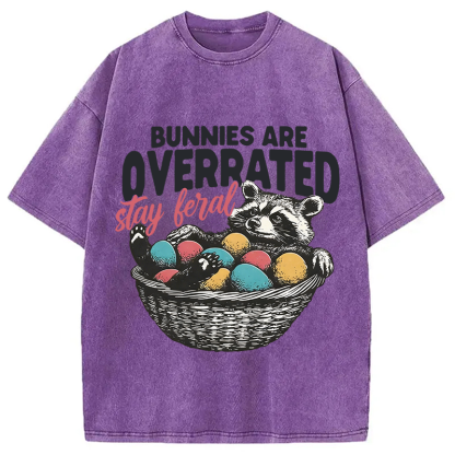 Tokyocanvas Funny Easter Raccoon Washed T-Shirt