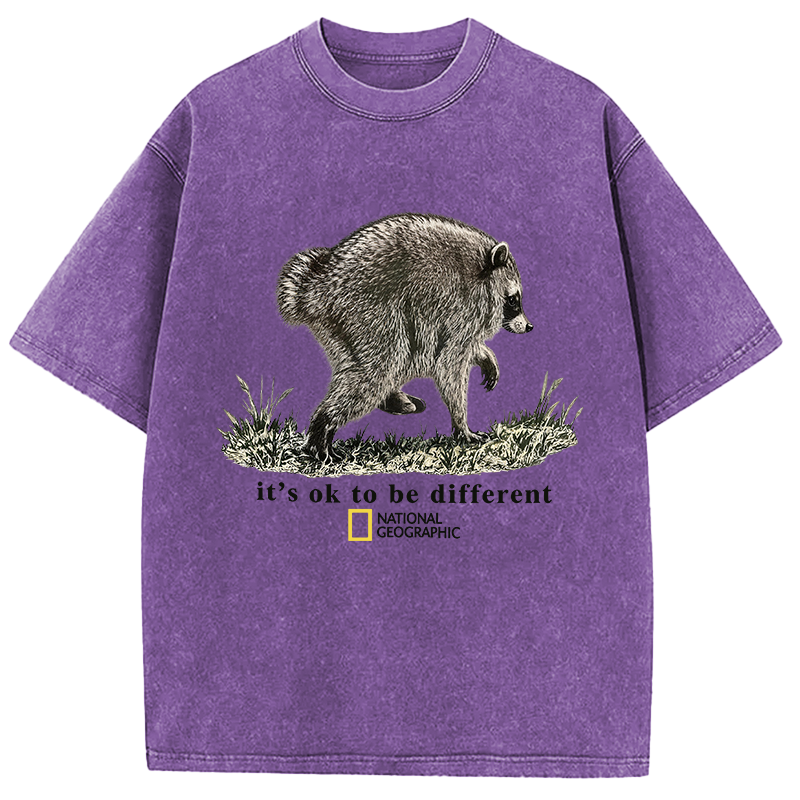 Tokyocanvas It’s OK to be Different Washed T-Shirt