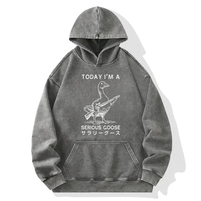 Tokyocanvas Serious Stupid Goose Washed Hoodie