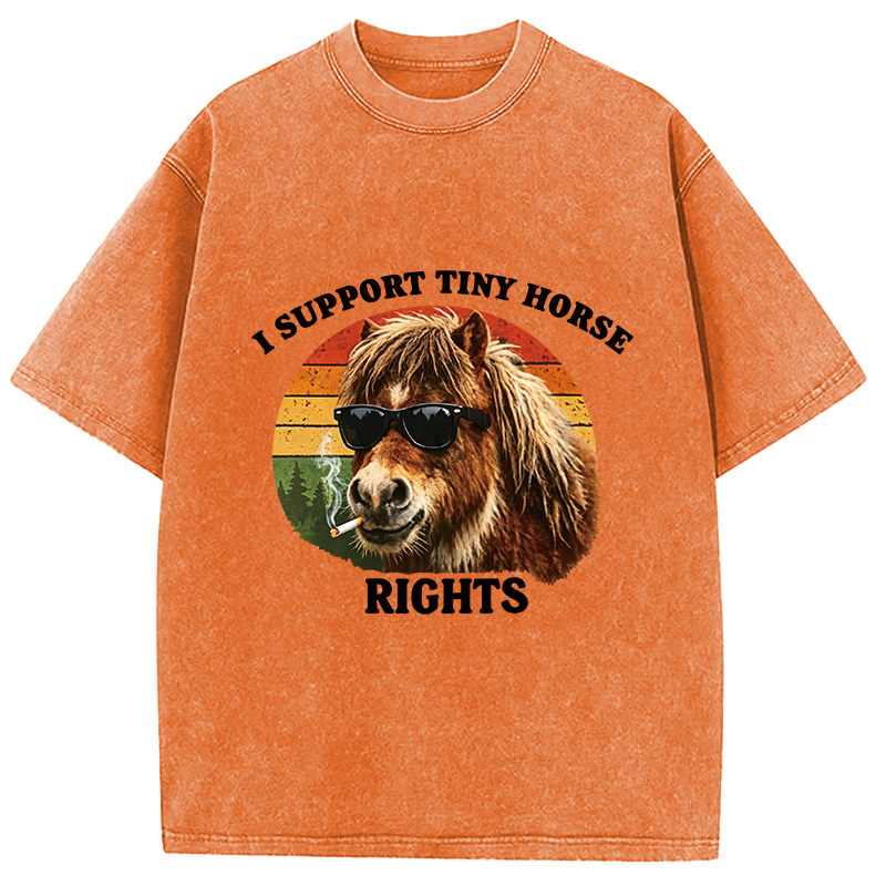 Tokyocanvas Frog Wizard Riding A Horse Washed T-Shirt