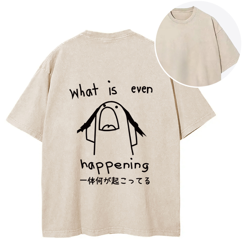 Tokyocanvas What Is Even Happening Back Washed T-Shirt