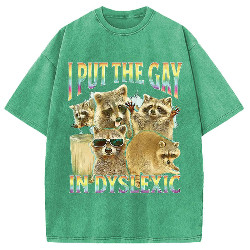 Tokyocanvas I Put The Gay In Dyslexic Funny Raccoon Meme Washed T-Shirt