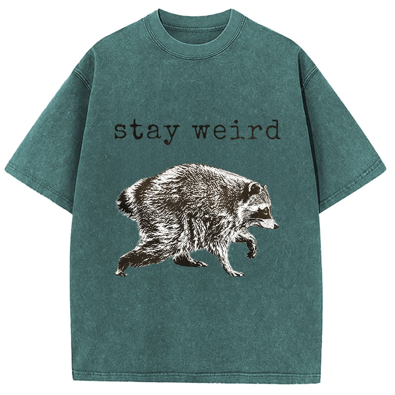 Tokyocanvas Stay Weird Funny Washed T-Shirt