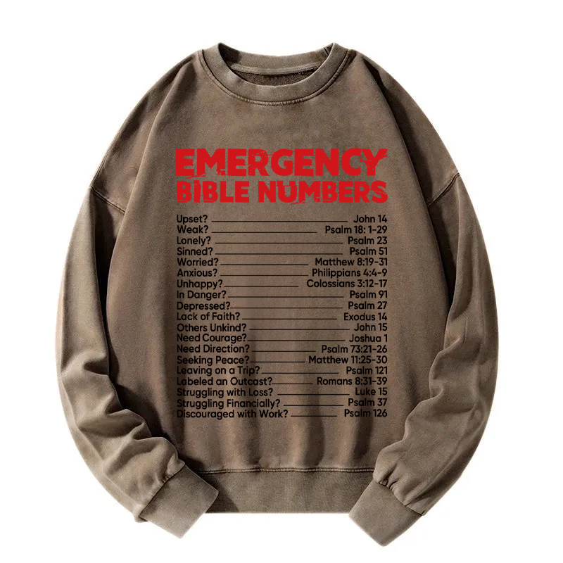 Tokyocanvas Bible Emergency Numbers Washed Sweatshirt