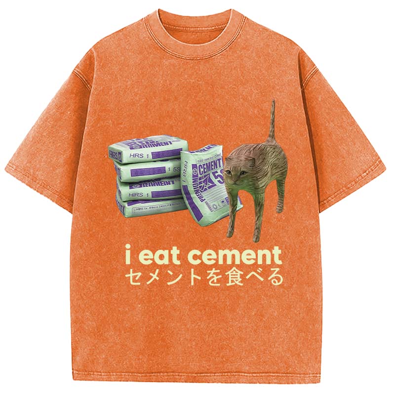 Tokyocanvas Funny Internet Cement Cat Washed T-Shirt