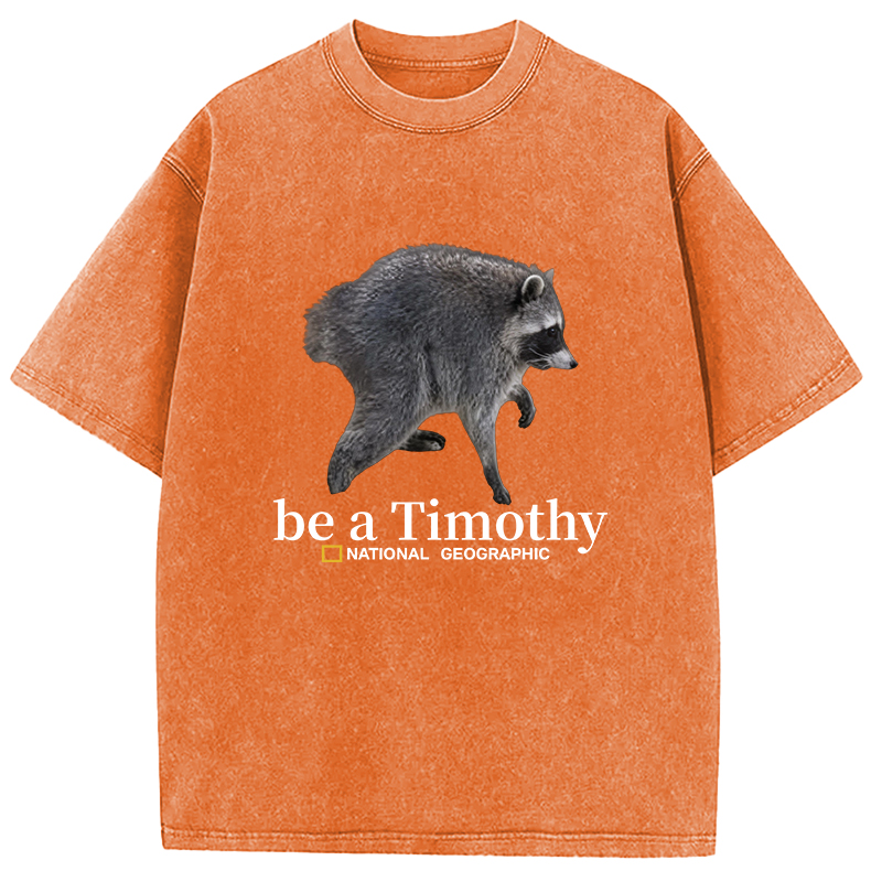 Tokyocanvas Be a Jimothy Washed T-Shirt