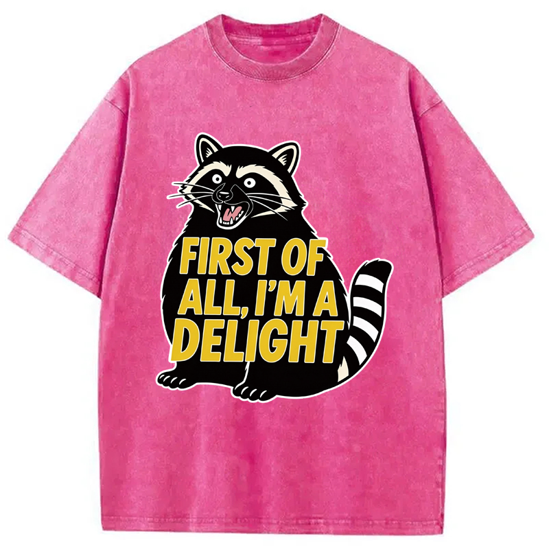 Tokyocanvas First of All I'm a Delight Raccoon Washed T-Shirt