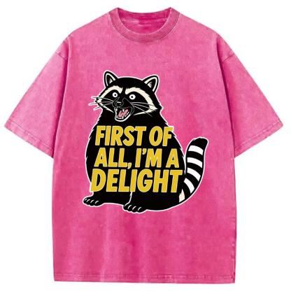 Tokyocanvas First of All I'm a Delight Raccoon Washed T-Shirt