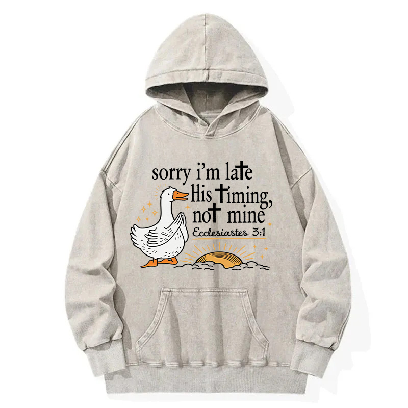 Tokyocanvas His Timing Not Mine Goose Washed Hoodie