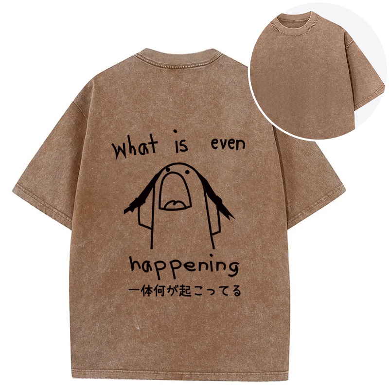 Tokyocanvas What Is Even Happening Back Washed T-Shirt