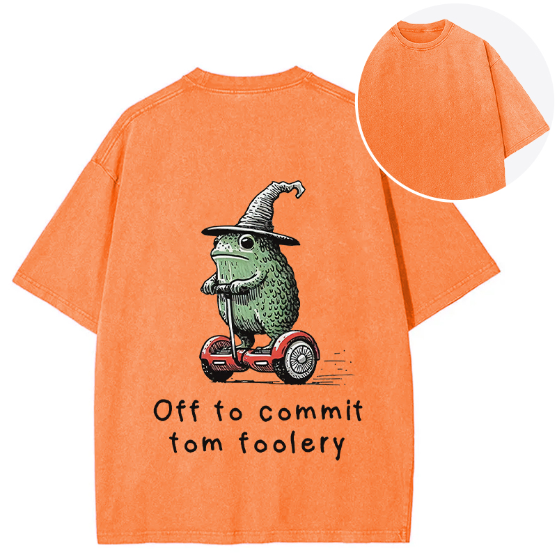 Tokyocanvas Frog Riding A Balance Scooter Back Washed T-Shirt