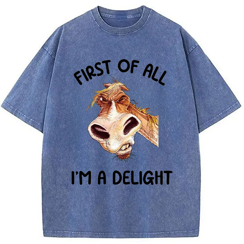 Tokyocanvas First of All I'm a Delight Horse Washed T-Shirt